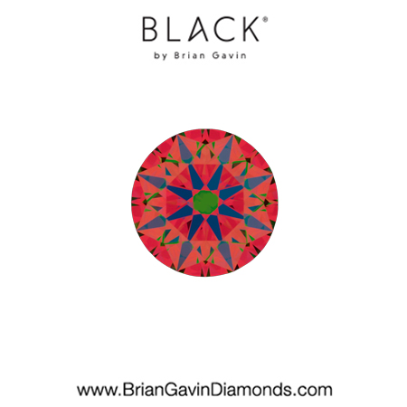 0.31 E VVS2 Black by Brian Gavin Round aset