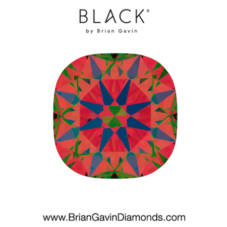 1.56 D SI1 Black by Brian Gavin Cushion aset