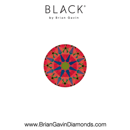 0.26 E VS1 Black by Brian Gavin Round aset