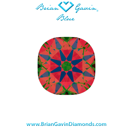 0.59 F SI1 Brian Gavin Signature Cushion aset