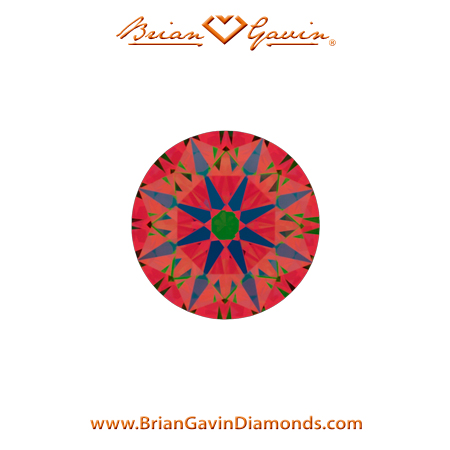 0.51 J VS2 Brian Gavin Signature Round aset