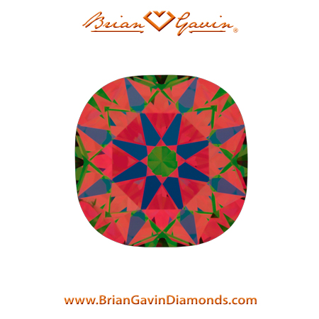 1.02 D SI2 Brian Gavin Signature Cushion aset