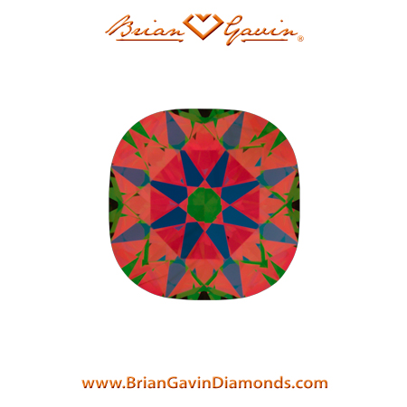 0.77 L VS2 Brian Gavin Signature Cushion aset