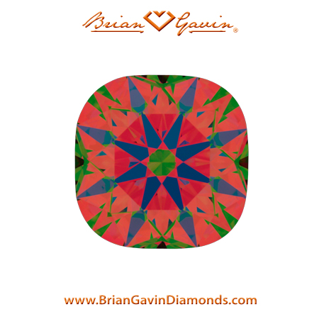 1.00 F SI1 Brian Gavin Signature Cushion aset