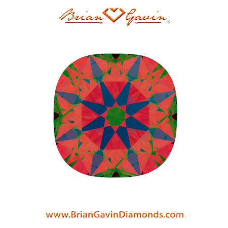 1.21 I VS1 Brian Gavin Signature Cushion aset