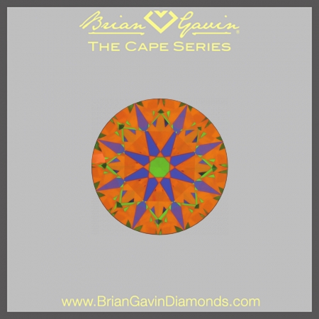 1.303 O VS1 Signature Round aset