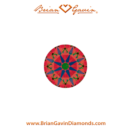 0.22 H VS2 Brian Gavin Signature Round aset
