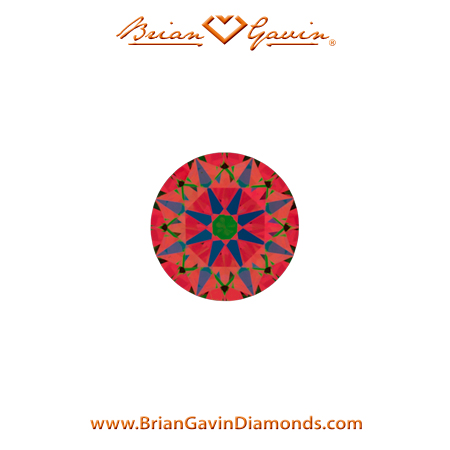 0.22 H VS2 Brian Gavin Signature Round aset