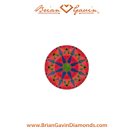 0.22 H VS2 Brian Gavin Signature Round aset