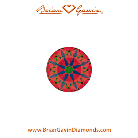 0.21 H VS2 Brian Gavin Signature Round aset