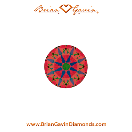 0.22 H VS2 Brian Gavin Signature Round aset