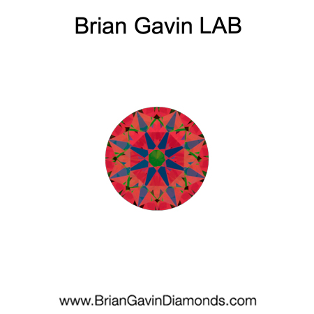 0.22 H VS2 Brian Gavin Signature Round aset