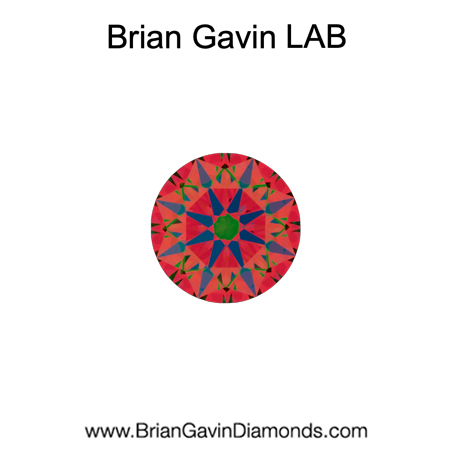 0.21 H VS2 Brian Gavin Signature Round aset