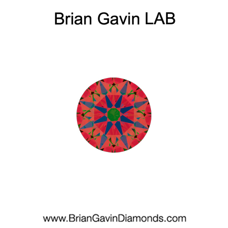 0.21 H VS2 Brian Gavin Signature Round aset