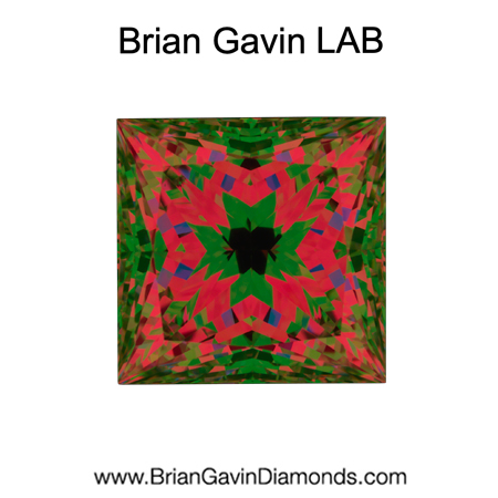 3.51 D VS1 Brian Gavin Premium Lab Princess aset