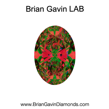 3.02 D VVS1 Brian Gavin Premium Lab Oval aset