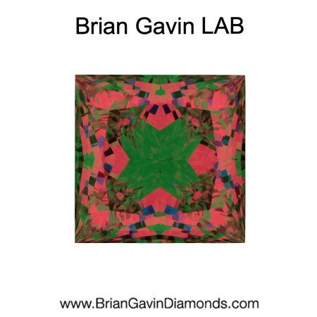 3.01 D VS1 Premium Lab Princess aset