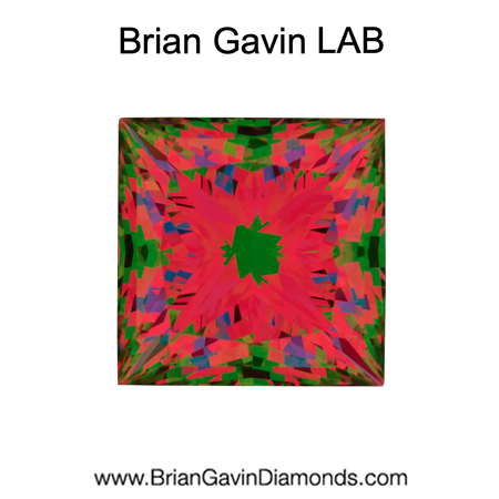 2.01 E VS2 Brian Gavin Premium Lab Princess aset
