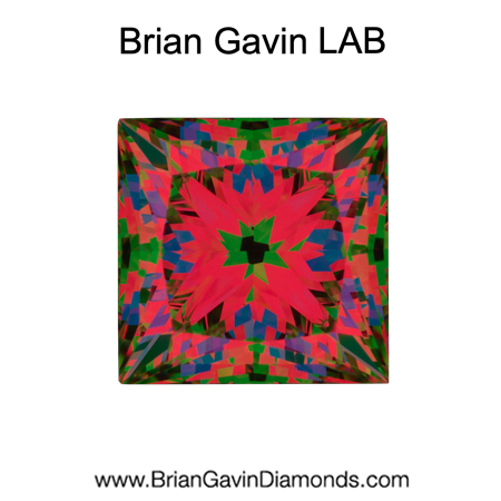 2.01 E VS1 Brian Gavin Premium Lab Princess aset