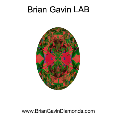 4.04 D VS1 Brian Gavin Premium Lab Oval aset