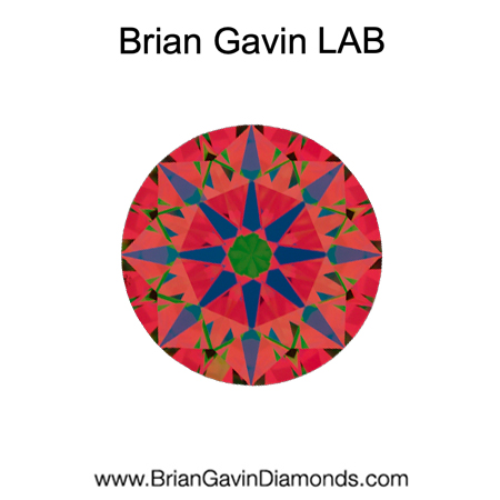 0.903 E VS1 Brian Gavin Premium Lab Grown Round Diamond aset
