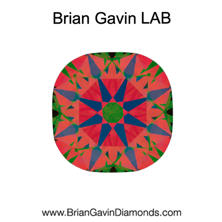 2.561 E VS2 Brian Gavin Premium Lab Grown Cushion Round Diamond aset