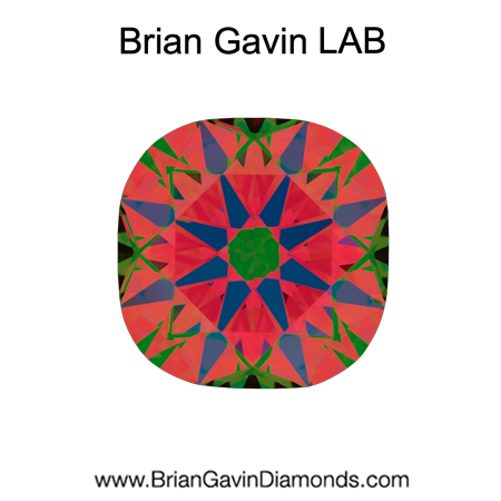 0.934 D VS2 Brian Gavin Premium Lab Grown Cushion Diamond aset