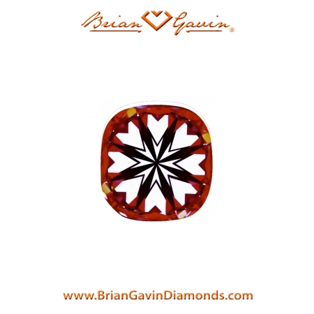 0.504 H VS2 Signature Cushion hearts