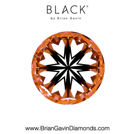 3.53 G VS1 Black by Brian Gavin Round hearts