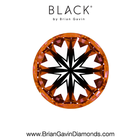 2.85 G VVS2 Black by Brian Gavin Round hearts