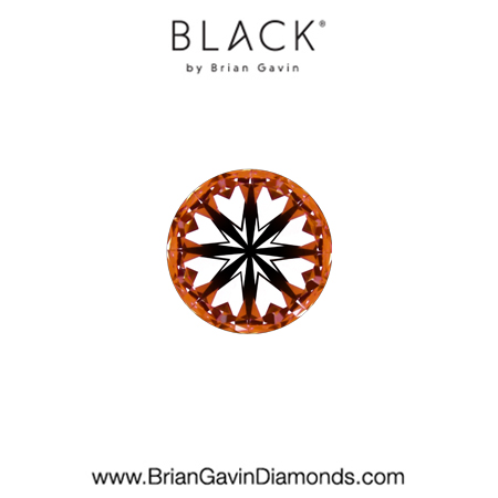 0.22 G VS2 Black by Brian Gavin Round hearts