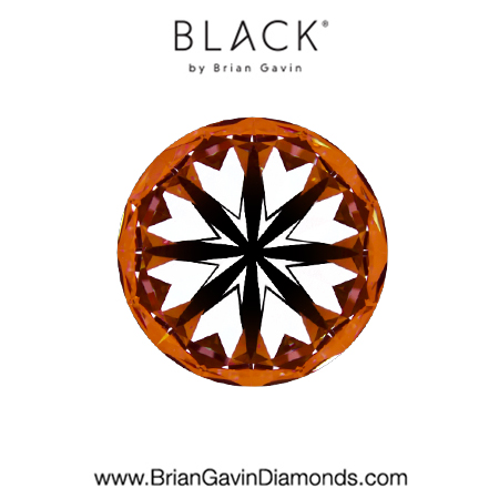 3.01 F VVS2 Black by Brian Gavin Round hearts