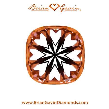 1.01 H SI1 Signature Cushion hearts