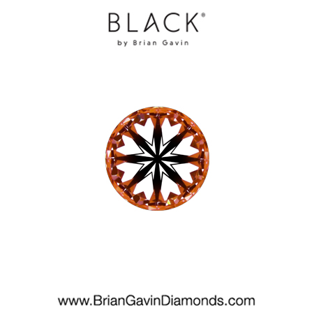 0.25 E VS2 Black by Brian Gavin Round hearts