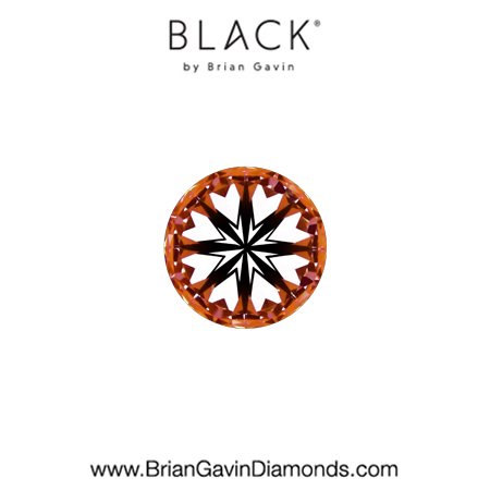 0.24 D VS2 Black by Brian Gavin Round hearts