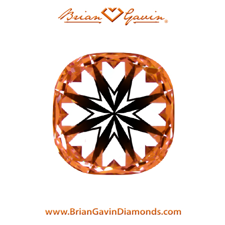 1.08 G SI1Brian Gavin Signature Cushion hearts