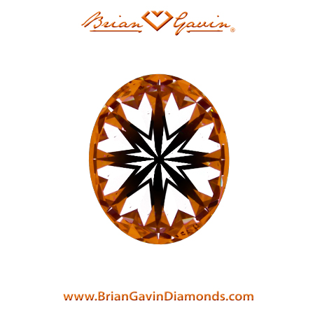 1.21 K SI1 Brian Gavin Signature Oval hearts