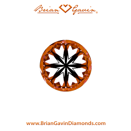 0.46 J VVS2 Brian Gavin Signature Round hearts