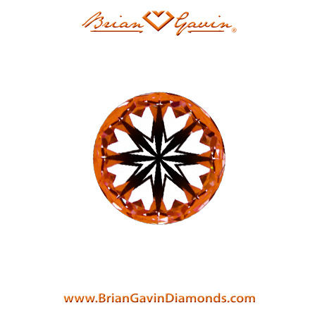 0.55 E SI1 Brian Gavin Signature Round hearts
