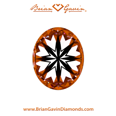1.05 L SI1 Brian Gavin Signature Oval hearts