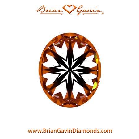 1.02 F SI2 Brian Gavin Signature Oval hearts