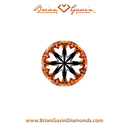 0.3 J VS2 Brian Gavin Signature Round hearts
